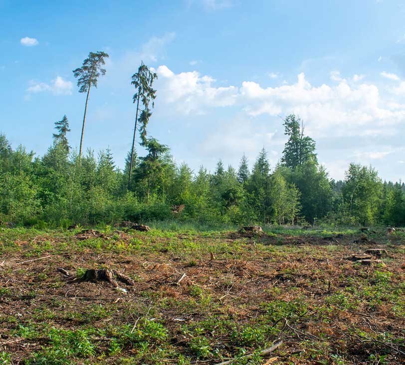 Schlossstrasse_Neudorf