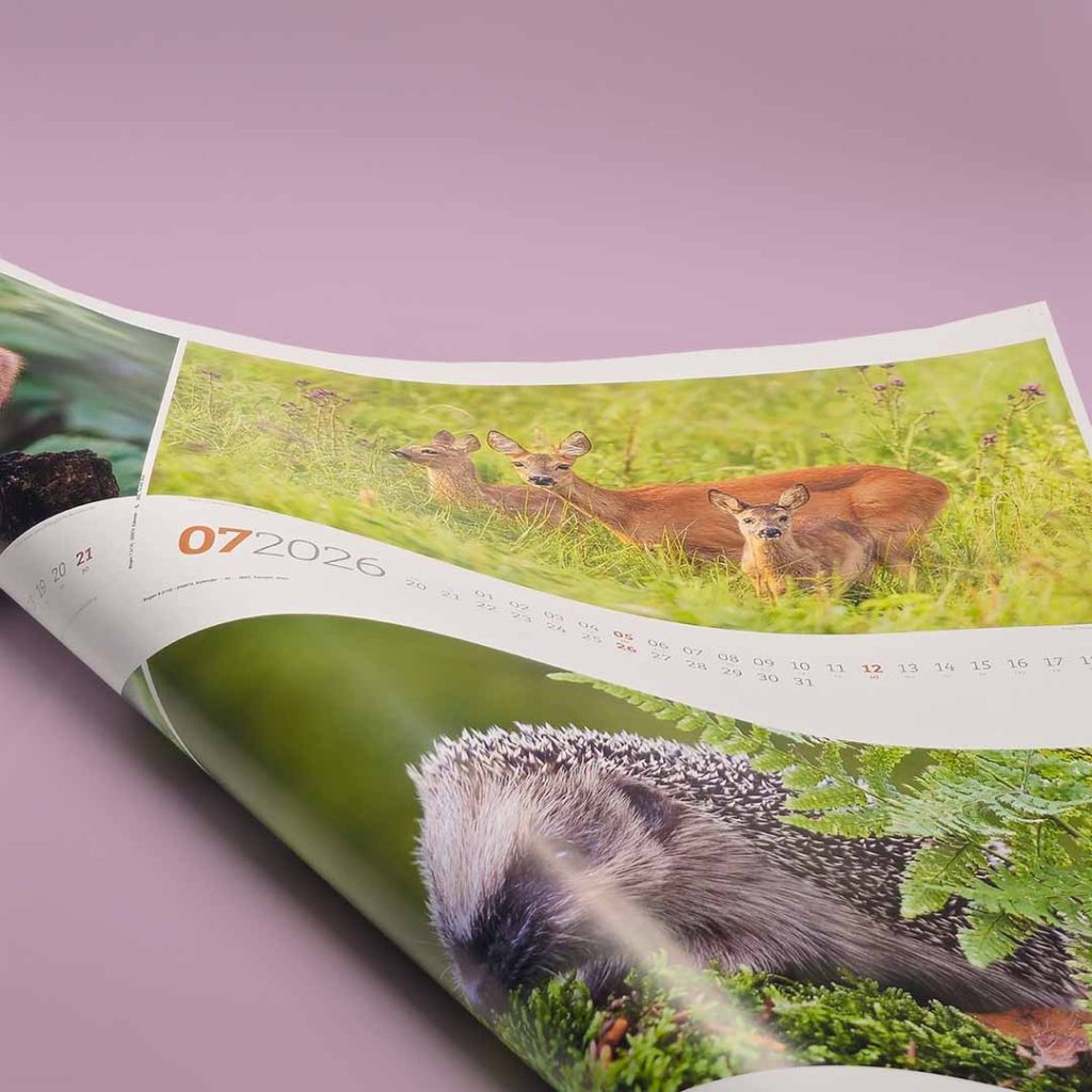 Kalender 2026 4 Kalender mit Tieren drauf